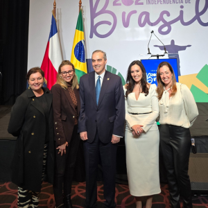 Fiesta independencia Brasil